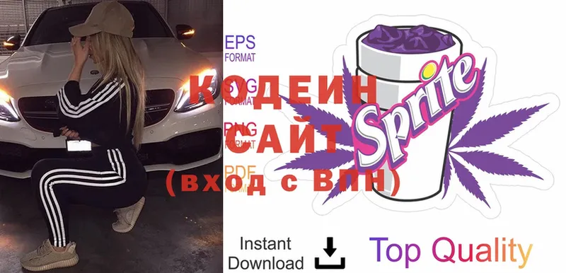 купить наркотик  Шумерля  Кодеиновый сироп Lean напиток Lean (лин) 